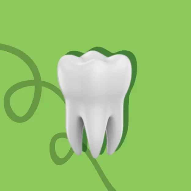 Dental Care