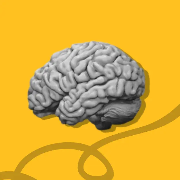 Mental Wellness